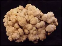 Brain-like growth of Calcite