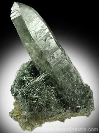 Actinolite Needles with Quartz