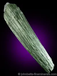 Elongated Actinolite Crystal Bundle
