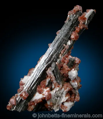 Aegirine with Rhodochrosite
