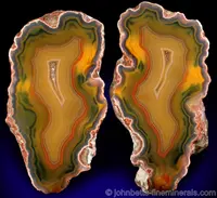 Sliced Condor Agate Nodule