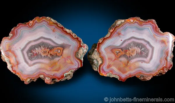 Sliced Condor Agate Nodule