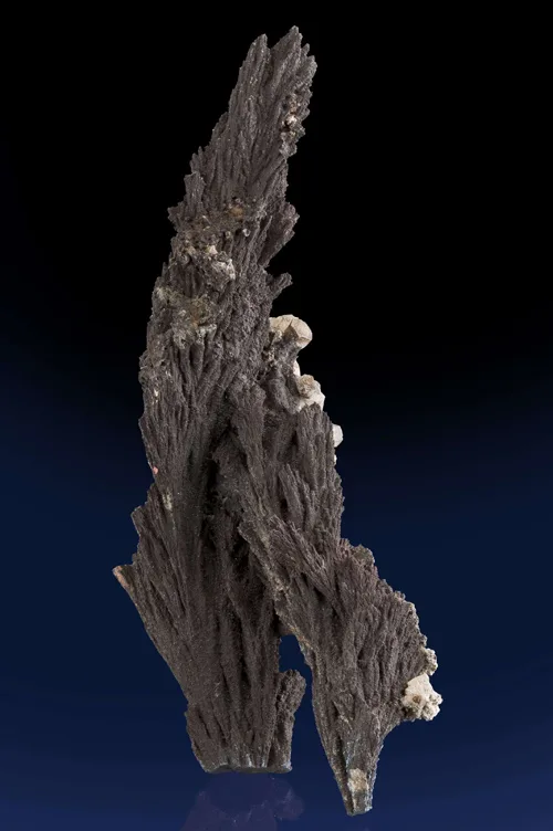 Arborescent Alabandite Crystals