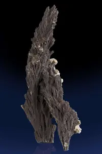 Arborescent Alabandite Crystals