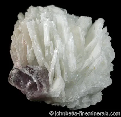 plagioclase