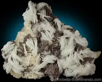 Albite and Lepidolite
