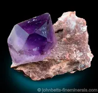Single Amethyst Crystal on Matrix