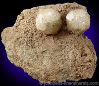 Two Analcimes on Matrix