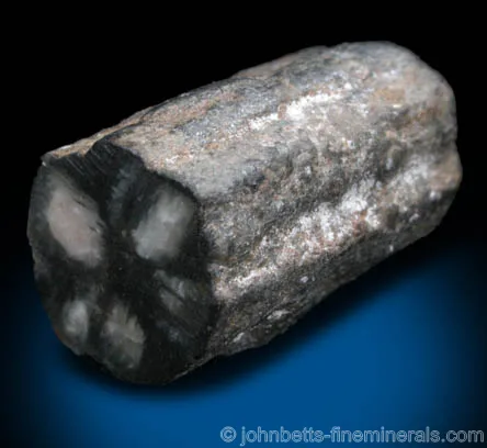 Primsatic Polished Chiastolite