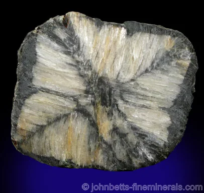 Chiastolite with Complex Pattern