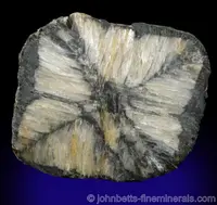 Chiastolite with Complex Pattern