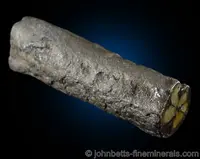 Elongated Chiastolite Crystal