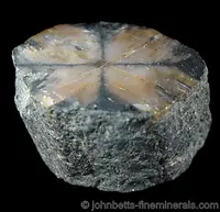 Polished Chiastolite Slice