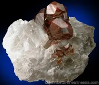 Lustrous Brown Andradite in Quartz