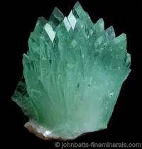 Green Apophyllite Spray