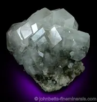 Apophyllite Crystal Cluster