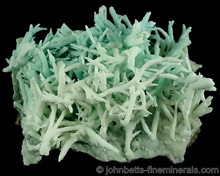 Aragonite var. Flos Ferri