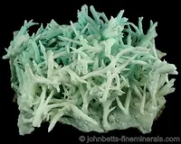 Aragonite var. Flos Ferri