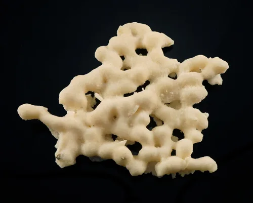 Interconnected Aragonite Crystal Group