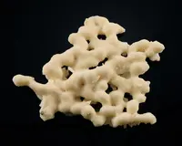 Interconnected Aragonite Crystal Group