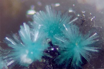 Radiating Spray of Aurichalcite Micros