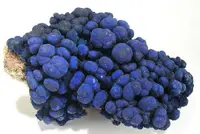 Botryoidal Azurite Cluster