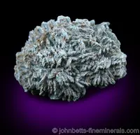 Platy Babingtonite Rosette