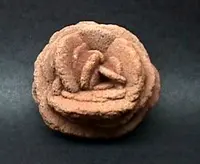 Barite Desert Rose