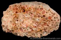 Bauxite from Tennessee