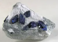Several Benitoites On Matrix