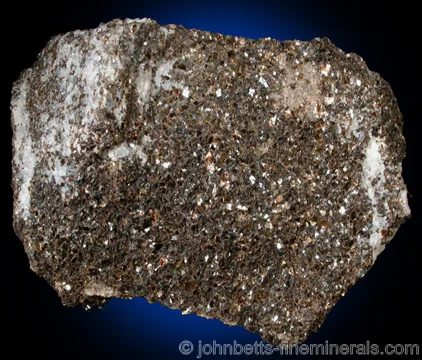Scaly Biotite