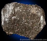 Scaly Biotite