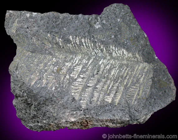 Bismuth in Dendritic Formation