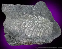 Bismuth in Dendritic Formation