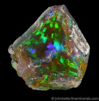 Black Opal