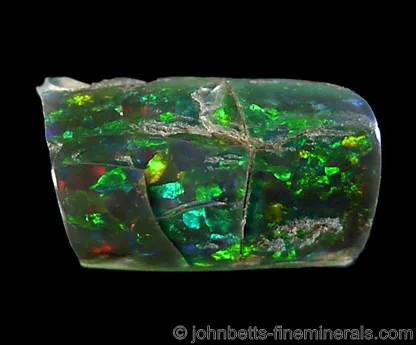 Black Opal