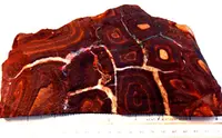 Boulder Opal