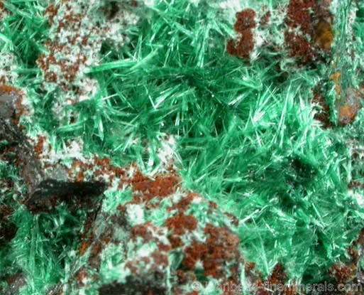 Acicular Brochantite Needles
