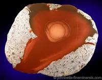 Bruneau Jasper