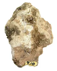 Crystallized Calomel on Matrix
