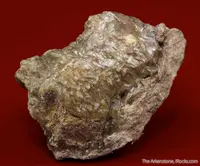 Well-Formed Calomel Crystals