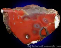 Classic Polished Carnelian