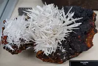 Dense White Cerussite Sprays