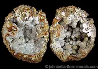 Quartz Pseudomorph after Coral