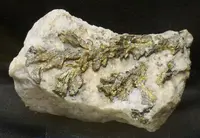 Dendritic Chalcopyrite