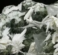 Chamosite with Natrolite