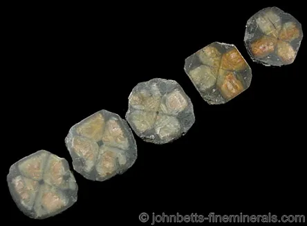 Sliced Chiastolite Set