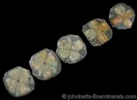 Sliced Chiastolite Set