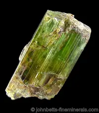 Forest-green Chrome-Tremolite
