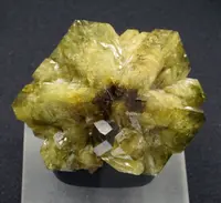 Chrysoberyl Cyclic Star Twin